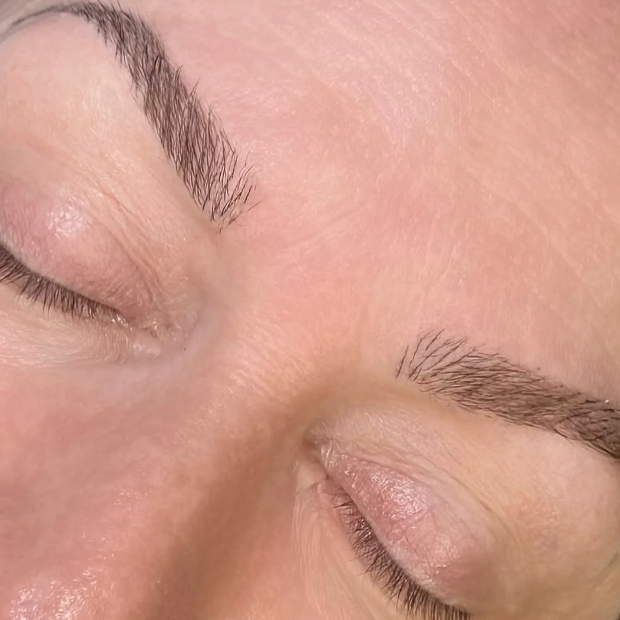 healed combination eyebrows with subtle hair strokes